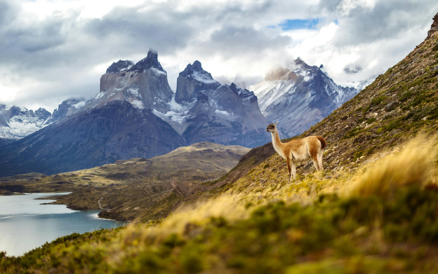 Expedición Patagonia - 4 Dias